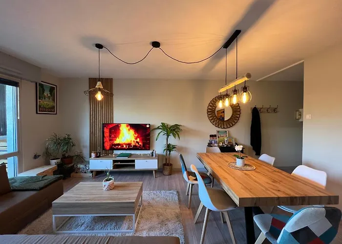 Le Zenith - T2 Chaleureux Et Lumineux